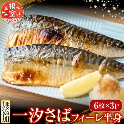 一汐さば半身6枚×3P A-11095