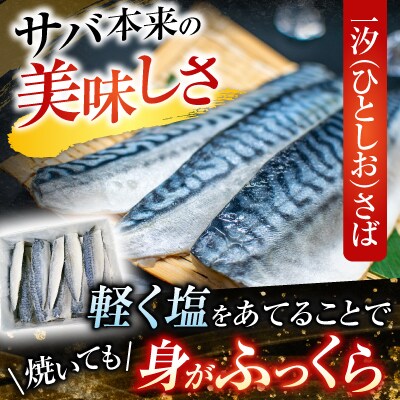 一汐さば半身6枚×3P A-11095