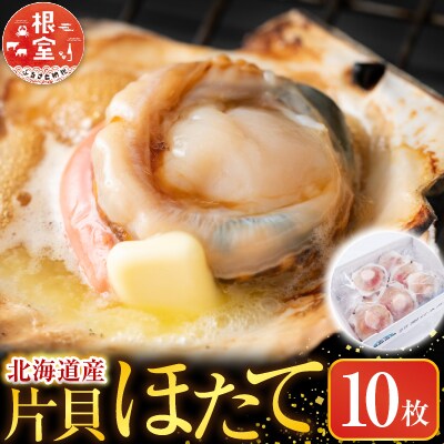 根室海鮮市場<直送>片貝ほたて10枚 G-28044