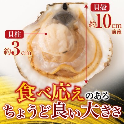 根室海鮮市場<直送>片貝ほたて10枚 G-28044