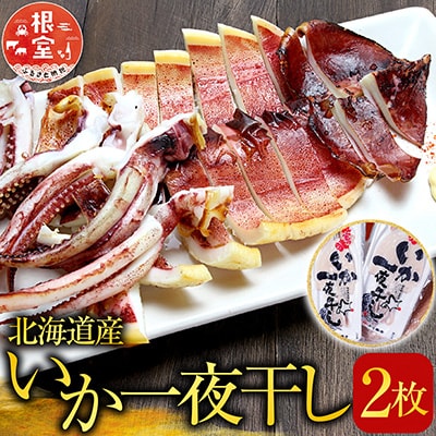 【北海道産】いか一夜干し2枚 G-11079