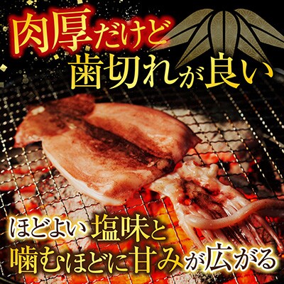 【北海道産】いか一夜干し2枚 G-11079