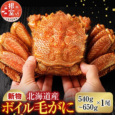 ボイル毛がに540～650g×1尾 B-11120