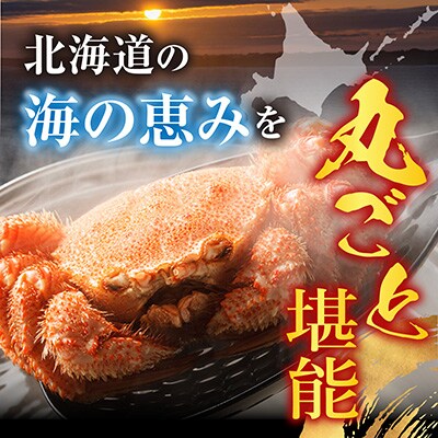 ボイル毛がに540～650g×1尾 B-11120