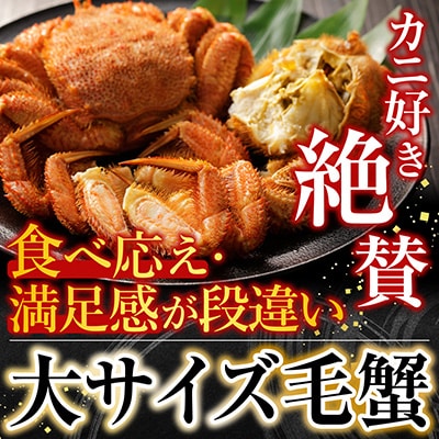 ボイル毛がに700～900g×1尾 C-11059
