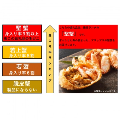ボイル毛がに700～900g×1尾(堅蟹) C-11059