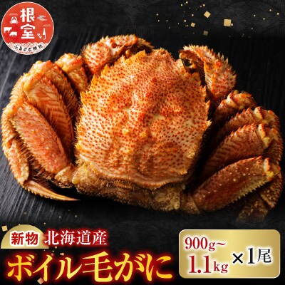 ボイル毛がに900g～1.1kg×1尾 F-11029