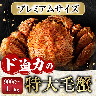 ボイル毛がに900g～1.1kg×1尾(堅蟹) F-11029