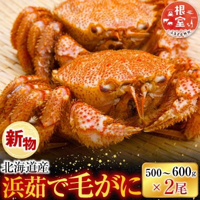 ボイル毛がに500～600g×2尾 F-11030