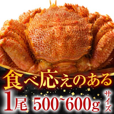 ボイル毛がに500～600g×2尾 F-11030