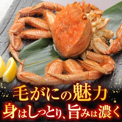 ボイル毛がに500～600g×2尾 F-11030
