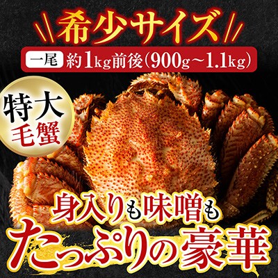 ボイル毛がに900g～1.1kg×1尾 F-14029