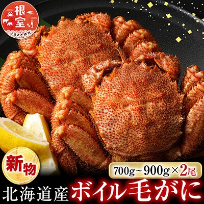 ボイル毛がに700～900g×2尾 D-14057