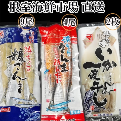 【北海道根室産】根室海鮮市場＜直送＞いか一夜干し2枚・さんま明太4尾・糠さんま9尾 A-28260