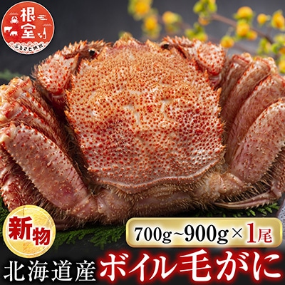根室海鮮市場<直送>ボイル毛がに700～900g×1尾 C-28060