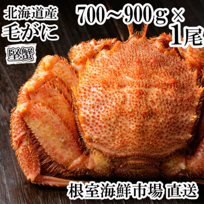 根室海鮮市場<直送>ボイル毛がに700～900g×1尾(堅蟹) C-28060