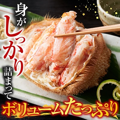 根室海鮮市場<直送>ボイル毛がに700～900g×1尾(堅蟹) C-28060