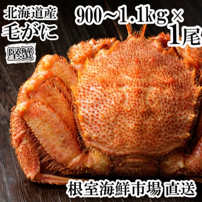 根室海鮮市場<直送>ボイル毛がに900g～1.1kg×1尾(堅蟹) F-28029