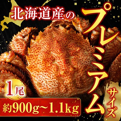 根室海鮮市場<直送>ボイル毛がに900g～1.1kg×1尾 F-28029