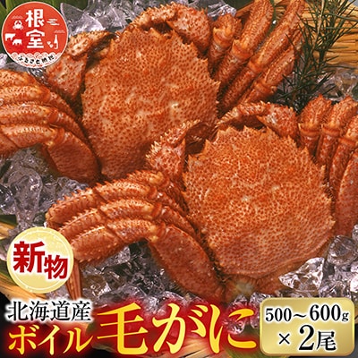 根室海鮮市場<直送>ボイル毛がに500～600g×2尾 F-28030