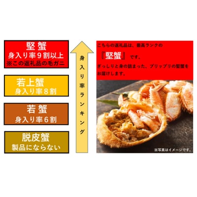 根室海鮮市場<直送>ボイル毛がに500～600g×2尾(堅蟹) F-28030