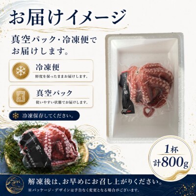 【北海道根室産】柳蛸ボイル1杯(800g) G-20005