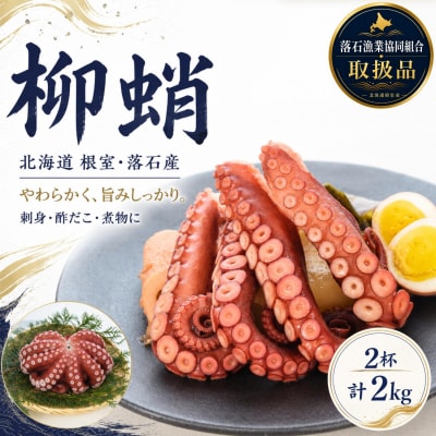 【北海道根室産】柳蛸ボイル2杯(計2kg) B-20012