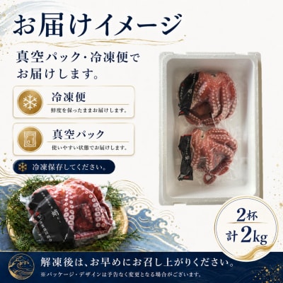 【北海道根室産】柳蛸ボイル2杯(計2kg) B-20012