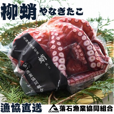 【北海道根室産】柳蛸ボイル3杯(計3kg) F-20010