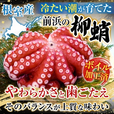 【北海道根室産】柳蛸ボイル3杯(計3kg) F-20010