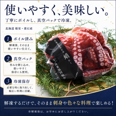 【北海道根室産】柳蛸ボイル3杯(計3kg)F-20010