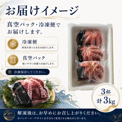 【北海道根室産】柳蛸ボイル3杯(計3kg)F-20010
