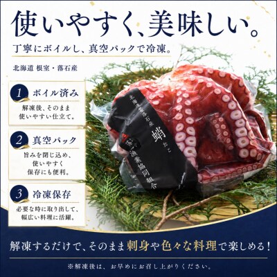 【北海道根室産】柳蛸ボイル5杯(計5kg)[8月上旬以降発送] D-20011
