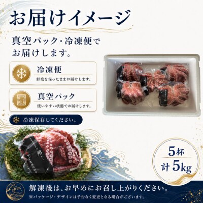 【北海道根室産】柳蛸ボイル5杯(計5kg) D-20011