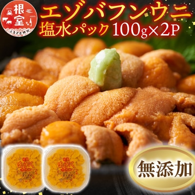 無添加エゾバフンウニ塩水パック100g×2P[10月上旬以降発送] F-20011