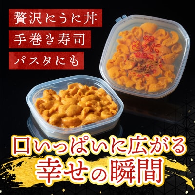 無添加エゾバフンウニ塩水パック100g×2P[10月上旬以降発送] F-20011
