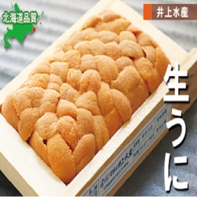 エゾバフンウニ50～60g×1折 G-71004