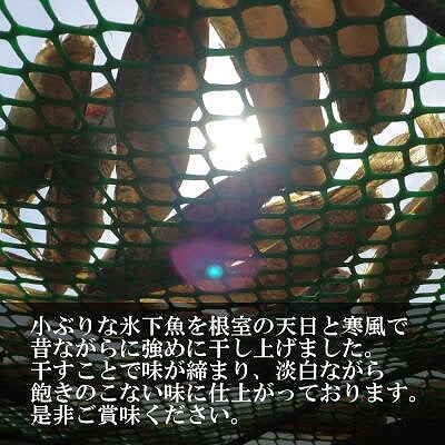 【北海道根室産】生干しこまい 1.4kg A-69011