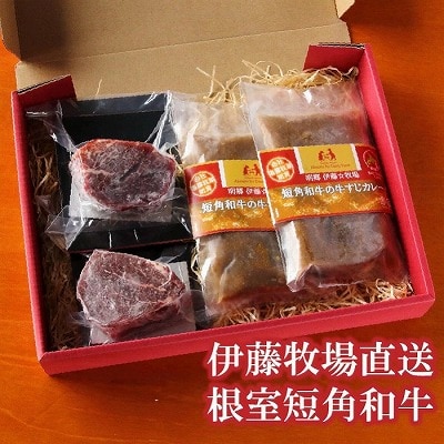 【北海道根室産】短角和牛ヒレステーキ150g×2P、牛すじカレー2P B-13004