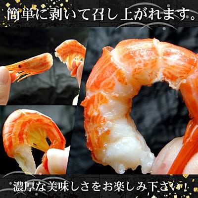 【北海道根室産】北海シマエビ800g(80～130尾) A-56014