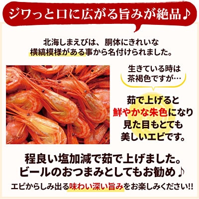 【北海道根室産】北海シマエビ800g(80～130尾) A-07012