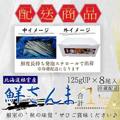 【北海道根室産】鮮さんま8尾入(計1kg) G-50011