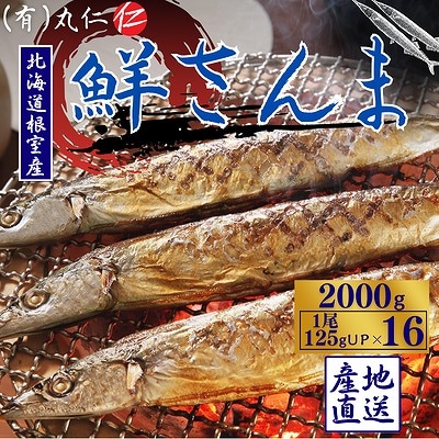 【北海道根室産】鮮さんま16尾入(計2kg) A-50020