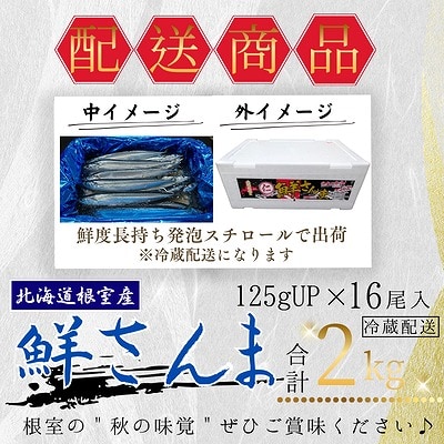【北海道根室産】鮮さんま16尾入(計2kg) A-50020