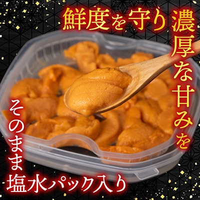 バフンウニ(黄系)塩水パック70～80g×2P[10月下旬以降発送] B-74001