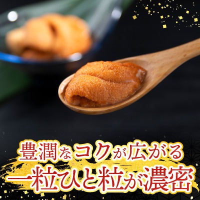 無添加エゾバフンウニ(赤系)100g×2P[10月上旬以降発送] B-20015