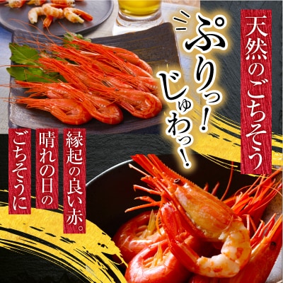 【北海道根室産】北海しまえび250g×3P(計33～48尾) F-20012