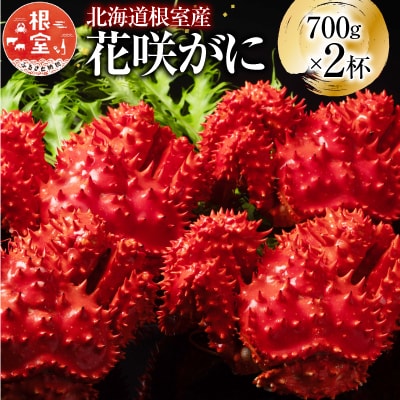 【北海道根室産】花咲かに700g×2尾(計1.4lg) F-20013