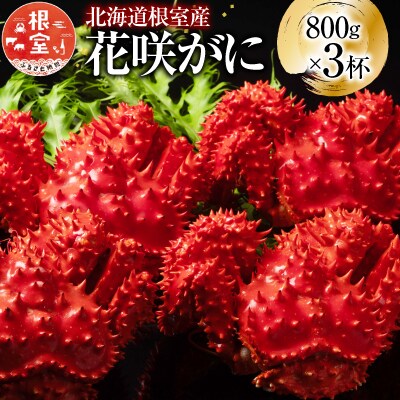 【北海道根室産】花咲かに800g×3尾(計2.4kg) D-20012