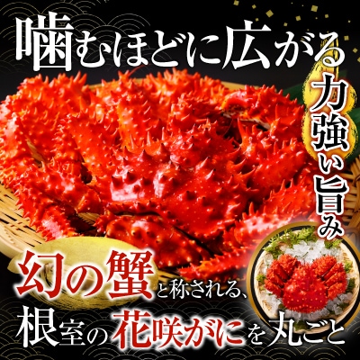 【北海道根室産】花咲かに800g×3尾(計2.4kg) D-20012